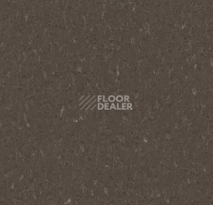 Линолеум Forbo Marmoleum Decibel on Order 363235 sealion фото 1 | FLOORDEALER